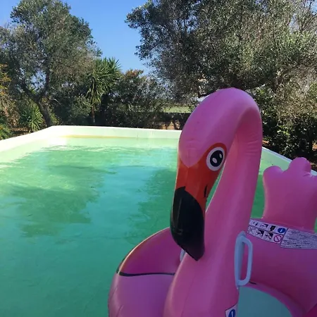 Adamo & Eva Salento Luxury Glamping Luxury tent Galatone
